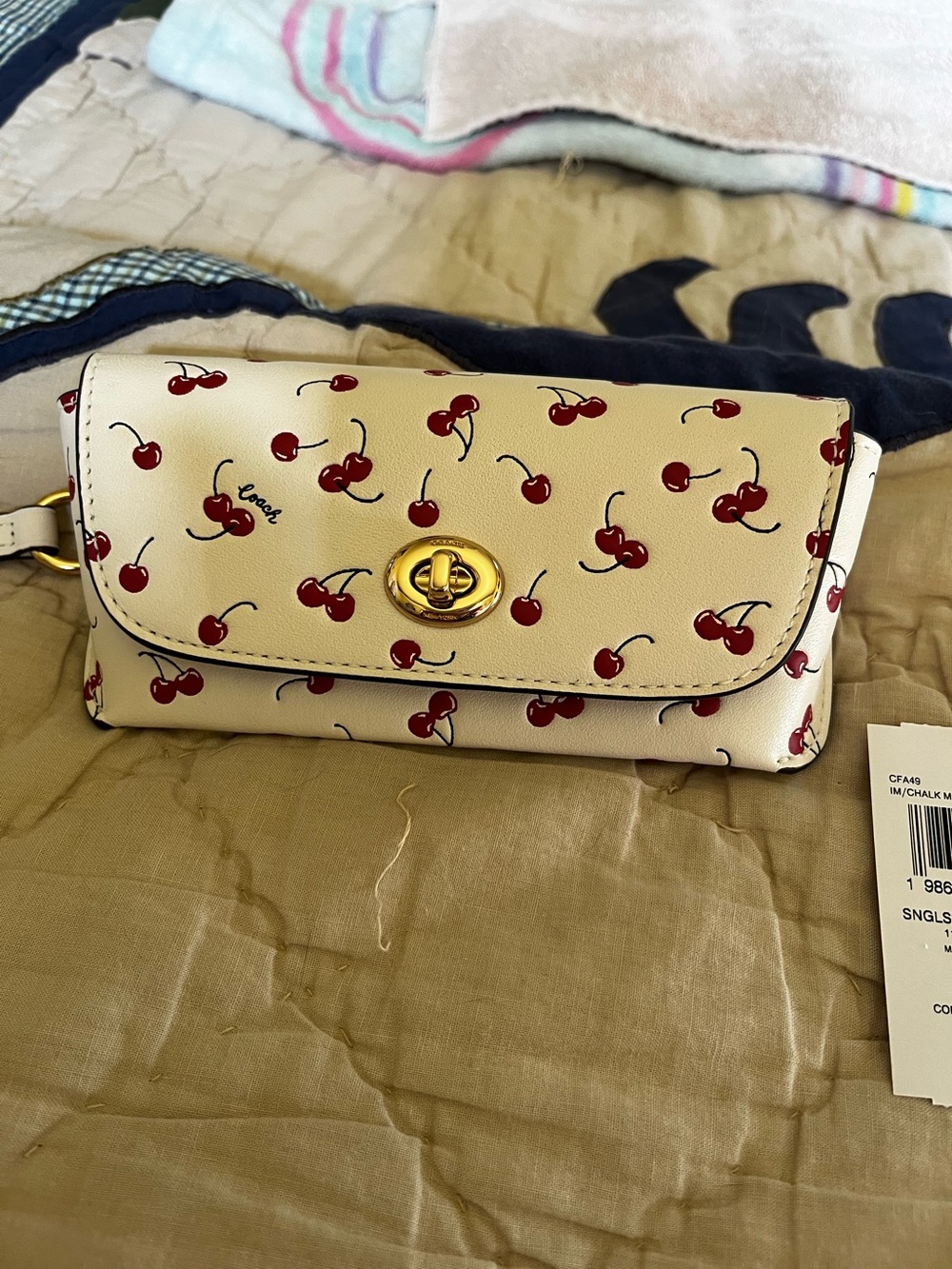 Coach Sunglass Case in Small Cherry Print